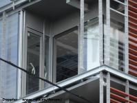 Imagine atasata: CBC - 2015.05.29 - 58.jpg